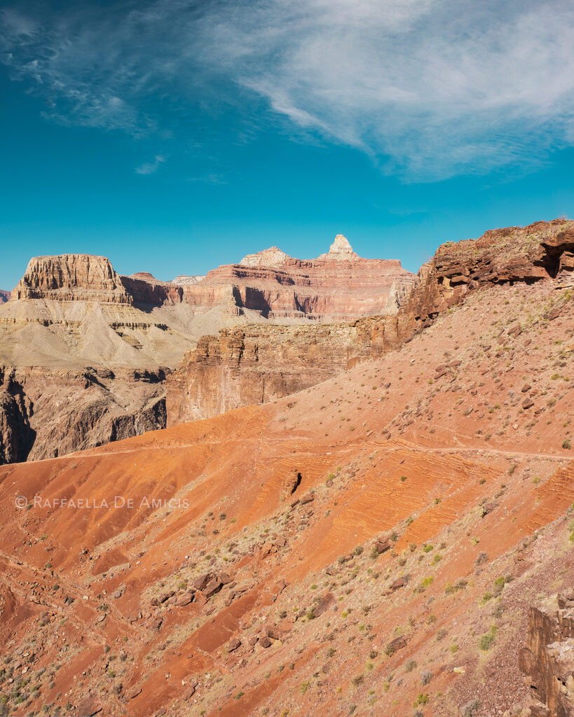 landscape art of grand canyon national park on the kaibab trail