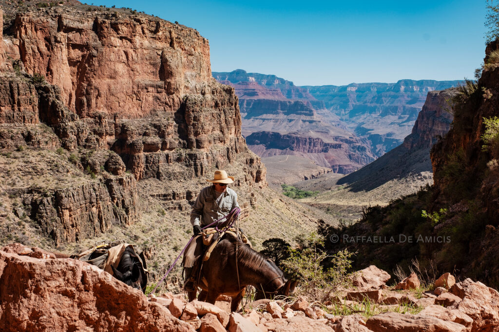 grand canyon national park staff maintain the trail