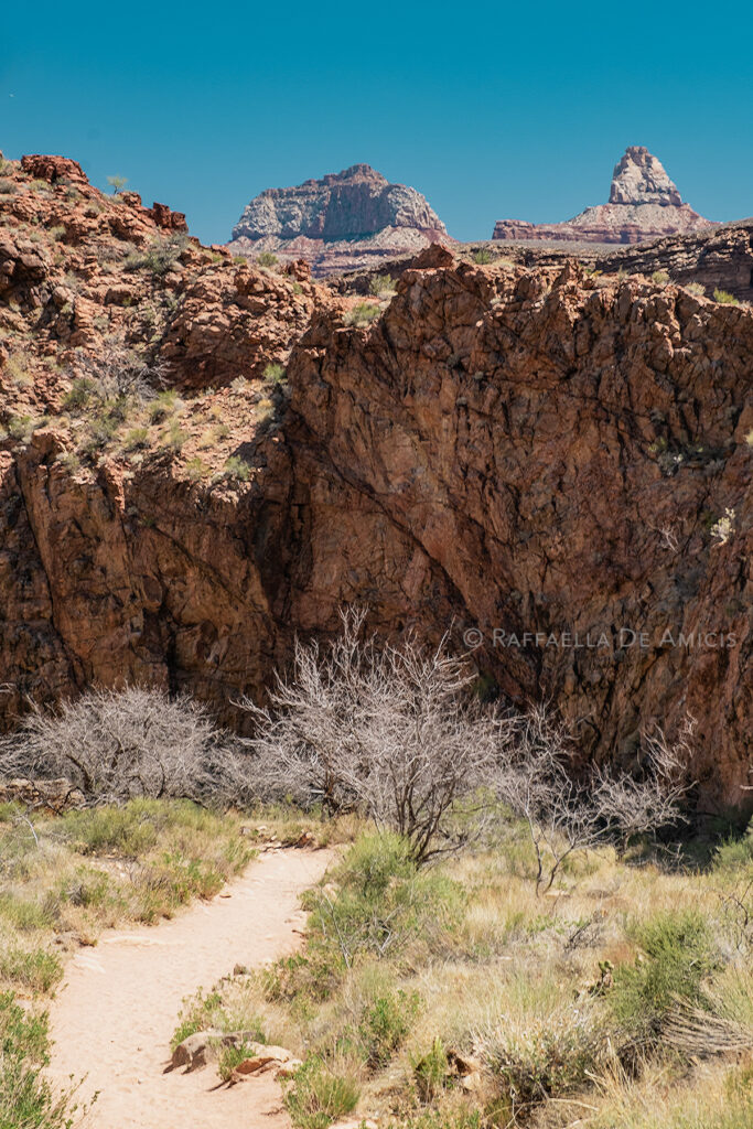bright angel trail grand canyon garden creek