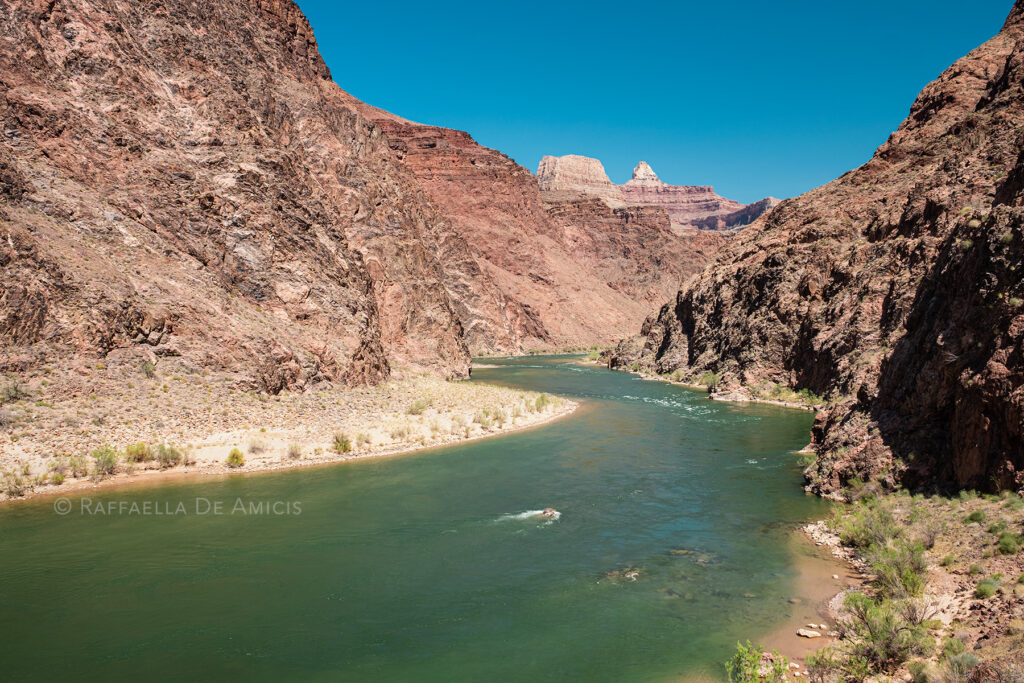 colorado river winding through the grand canyon