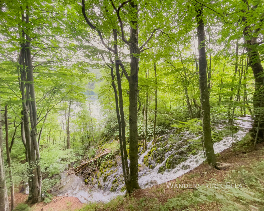 forest trail and waterfall plitvice