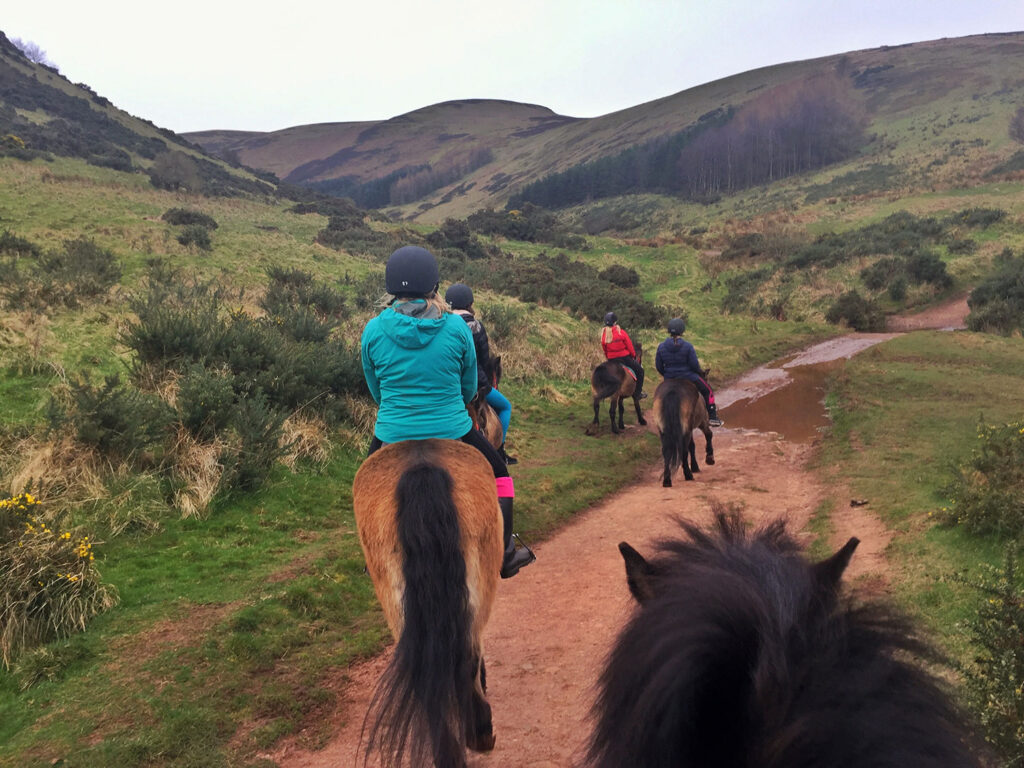 View entering Pentland Hills Regional Park astride an Exmoor Pony
