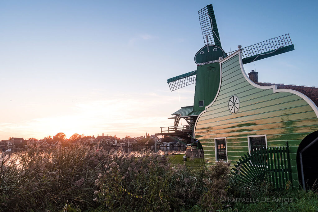 dutch architecture in Zaanse Schans with windmill, marsh, and glossy green siding on the building